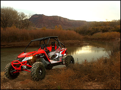 2014 Arctic Cat Wild Cat 1000 Limited Edition