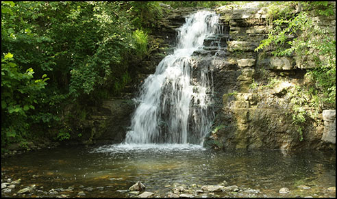 Frace Park Waterfall