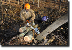 Chainsaw Buyers Guide