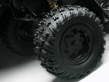Can-Am Renegade 800 X-Package Black Wheels