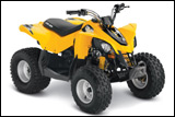 2013 DS 70 Youth ATV
