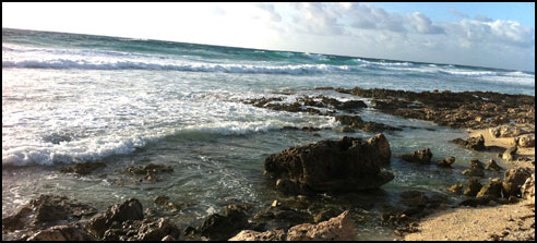 Cozumel , Mexico Yamaha Rhino UTV / SxS