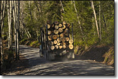 Logging Truck in Elkins, West Virginia