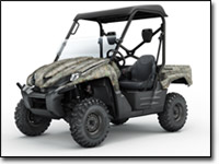 REALTREE™ Hardwoods Green® HD Kawasaki Teryx 750 4x4 UTV Limited Edition 