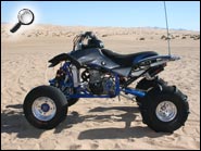 Quad of the Month  TRX650R ATV