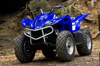 2006 Yamaha wolverine 450 on-command 4x4 ATV