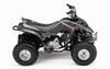 2007 Yamaha Raptor 50 Mini ATV Info