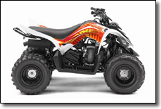 2012 Yamaha Raptor 90 Youth ATV with Talon Graphics 