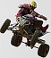 450Racer's Avatar