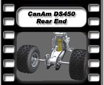 CanAm DS450 Rear End