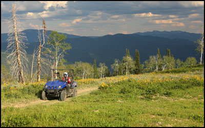 Yamaha Rhino 700 4x4 SxS / UTV - Stewart Trail Alpine, WY