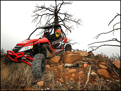 Arctic Cat WildCat X 1000 LE