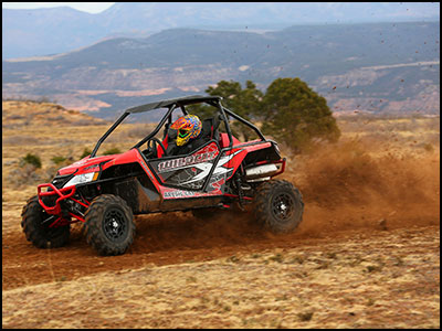 2014 Arctic Cat Wildcat X 1000 Limited Edition