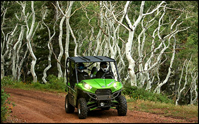 2014 Kawasaki Teryx 4 800 Limited Edition 4x4 SxS