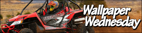 2014 Arctic Cat Wild Cat 1000 Limited Edition