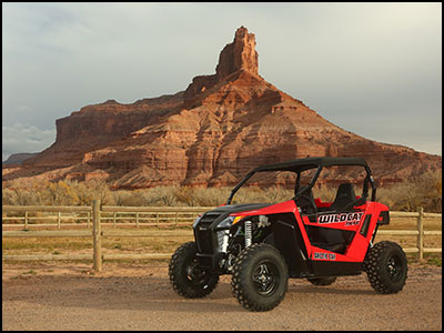 Arctic Cat Wildcat Trail 700