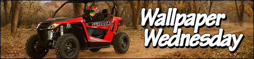 Arctic Cat Wildcat Trail 700