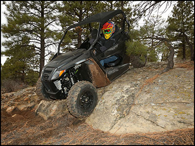 Arctic Cat Wildcat Trail 700