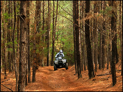 KYMCO MXU 750i EPS Woods