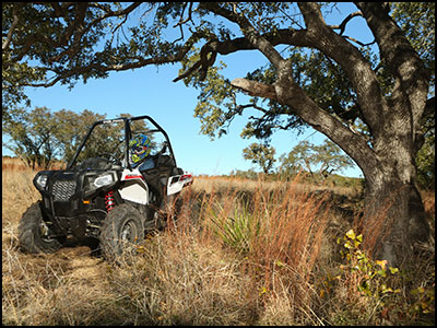 2014 Polaris ACE