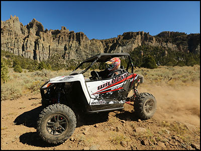 Arctic Cat Wildcat Sport Limited