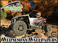 2015 Arctic Cat Wildcat Sport

 Wallpaper