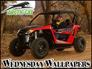 Arctic Cat Wildcat Trail 700