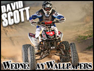 David Scott - Best in the Desert