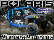 Polaris RZR XP 900 Jagged X