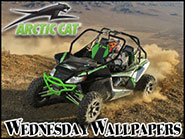 Arctic Cat Wildcat X 1000