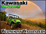 2014 Kawasaki Teryx4