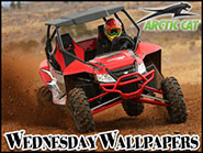 2014 Arctic Cat Wildcat X 1000 Limited Edition