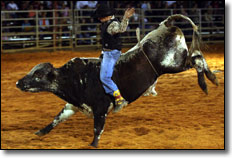 River Ranch Bull Riding