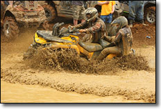 Endurance Race