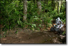 Beau Baron - Honda TRX 450R ATV