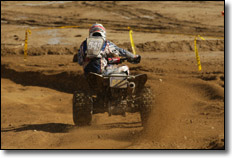 Maxxis Beau Baron 
