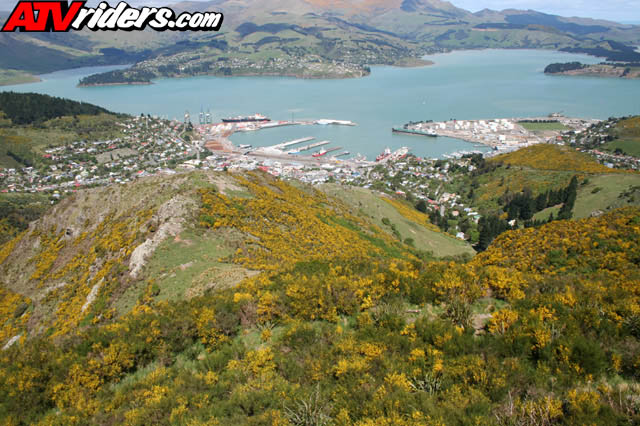 nz010
