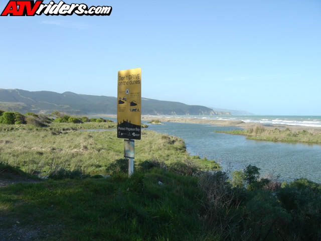 nz016