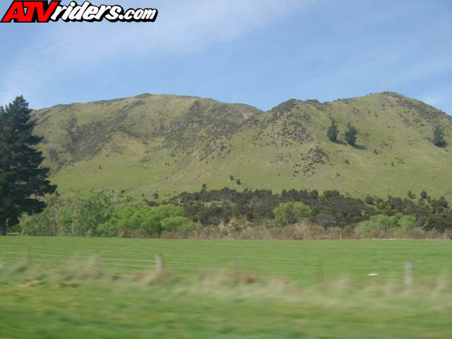 nz017