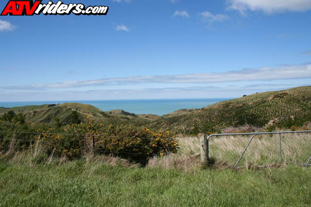 nz025