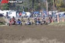minis-8895