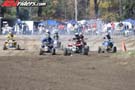 minis-8931