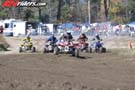 minis-8932