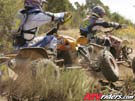 2007-08-brown-shafepass