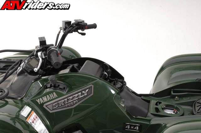 grizzly8113