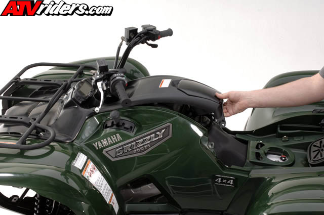 grizzly8118