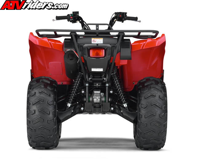 grizzly8128
