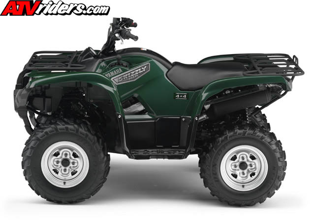 grizzly8131