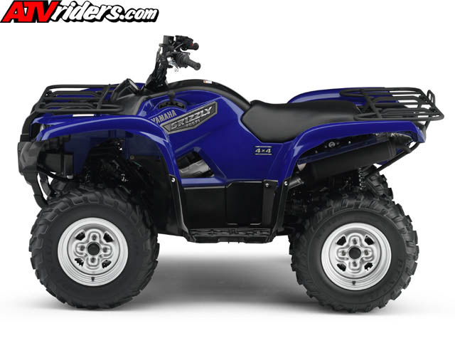grizzly8132