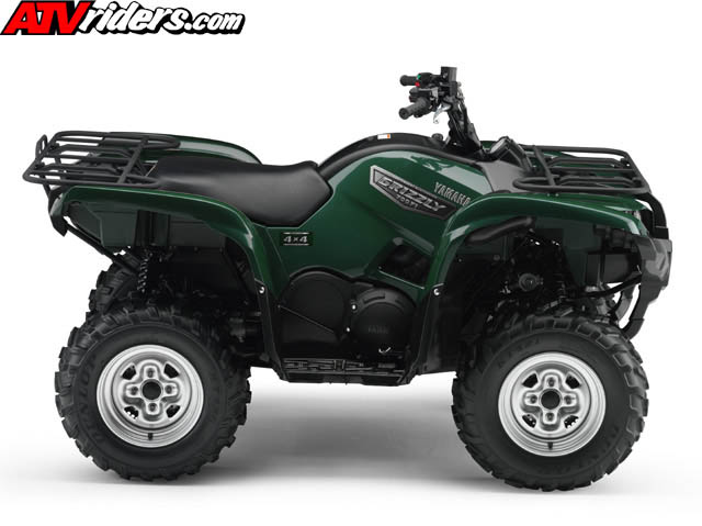 grizzly8134